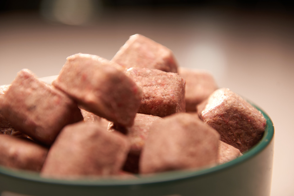 How to pick the best raw food for your dog
