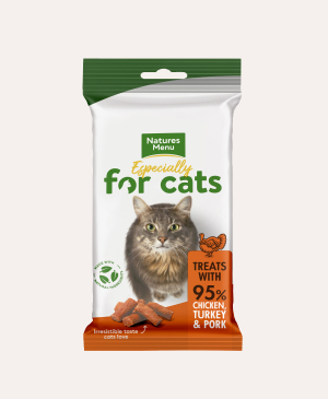 Purrfect Treats